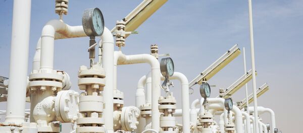 Bolivia y Brasil buscan continuar con su agenda de integración energética - Sputnik Mundo