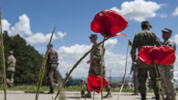 Los militares de la KFOR en Kosovo - Sputnik Mundo