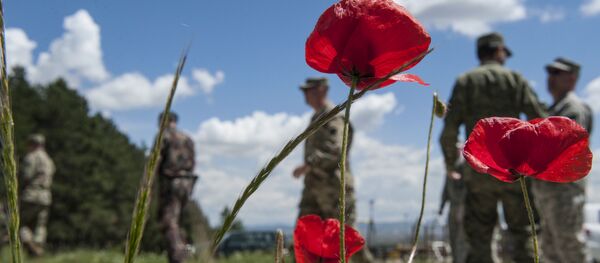 Los militares de la KFOR en Kosovo - Sputnik Mundo