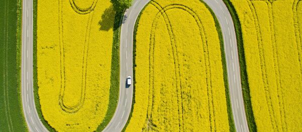 Alemania, vista aérea - Sputnik Mundo