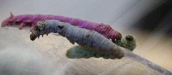 Wave (versión I) Wave (versión I) - Sputnik Mundo