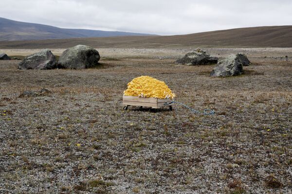 The Opening - Sputnik Mundo