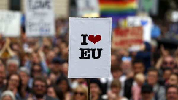 Los partidarios de la permanencia del Reino Unido en la UE (archivo) - Sputnik Mundo