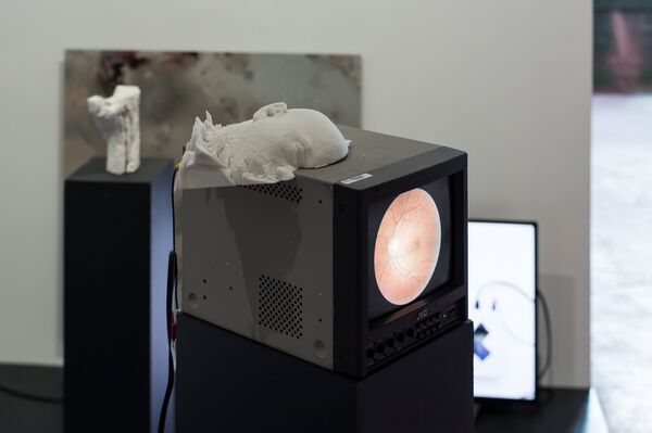 Cornered - Juan Covelli Cornered - Juan Covelli - Sputnik Mundo