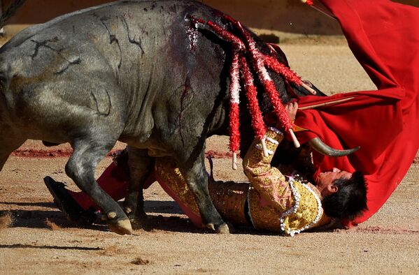 Entretenimiento peligroso: la fiesta de San Fermín en España - Sputnik Mundo