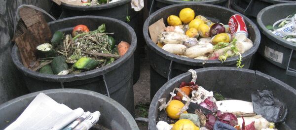 La mitad de la producción alimentaria es tirada a la basura en EEUU - Sputnik Mundo