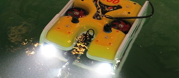 Marlin 350 - Sputnik Mundo