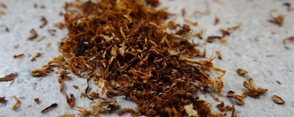 Tabaco - Sputnik Mundo