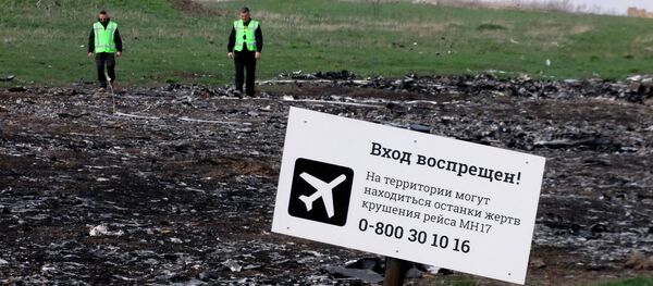 El lugar del siniestro del MH17 Boeing El lugar del siniestro del MH17 Boeing - Sputnik Mundo