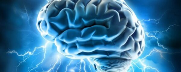 Un cerebro - Sputnik Mundo