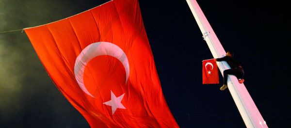 A supporter of Turkish President Tayyip Erdogan climbs up a flagpole during a pro-government demonstration at Taksim square in Istanbul - Sputnik Mundo