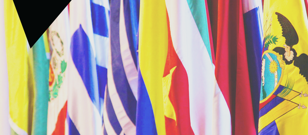 Canciller venezolana reitera denuncia sobre carácter injerencista de la OEA - Sputnik Mundo