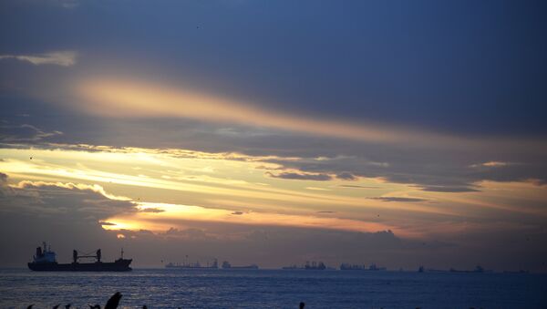 Ships wait at the entrance of the Bosphorus, connecting the Black Sea with the Sea of Marmara in Istanbul - Sputnik Mundo