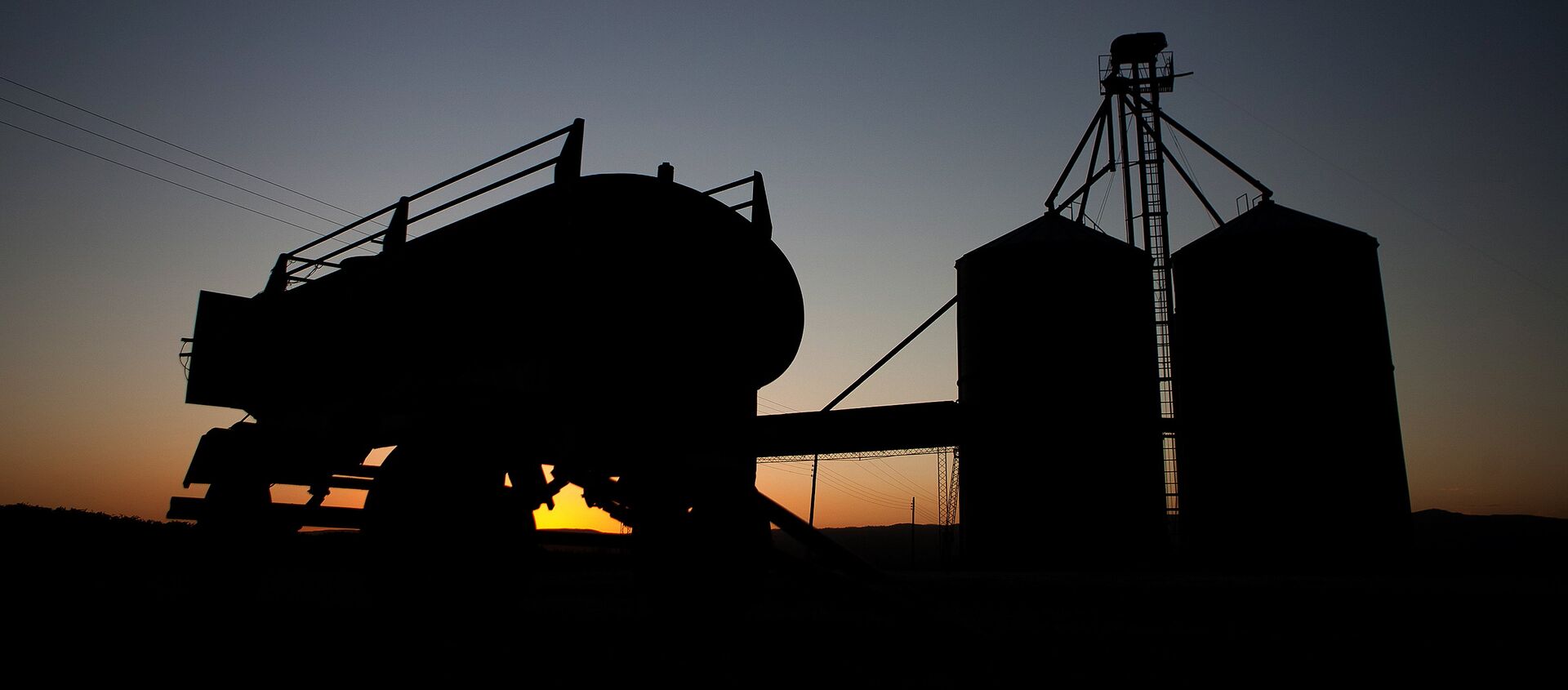 Un campo de trigo en Argentina - Sputnik Mundo, 1920, 12.05.2020