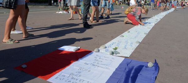 Paseo de los Ingleses, lugar donde se produjo el atentado - Sputnik Mundo