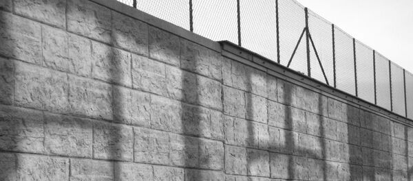 Un muro - Sputnik Mundo