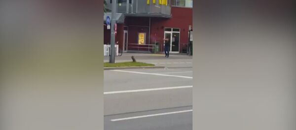 Vídeo: el momento del ataque en Múnich y la respuesta inicial de las fuerzas del orden - Sputnik Mundo