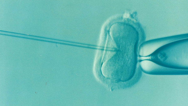 Fecundación in vitro (Archivo) - Sputnik Mundo