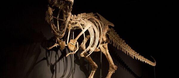 Esqueleto del dinosaurio - Sputnik Mundo