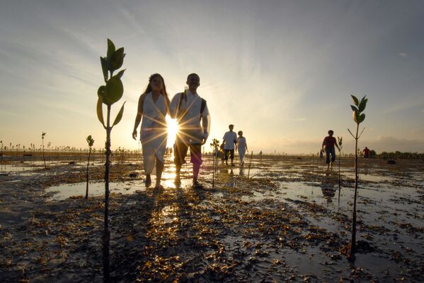 Amor en los cielos, bajo el agua, tras las rejas - Sputnik Mundo