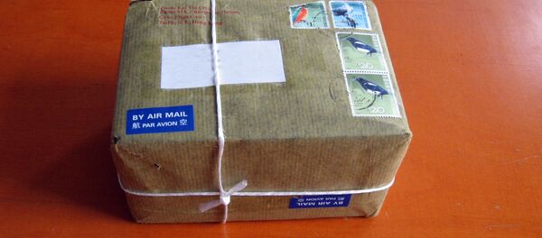 Paquete - Sputnik Mundo