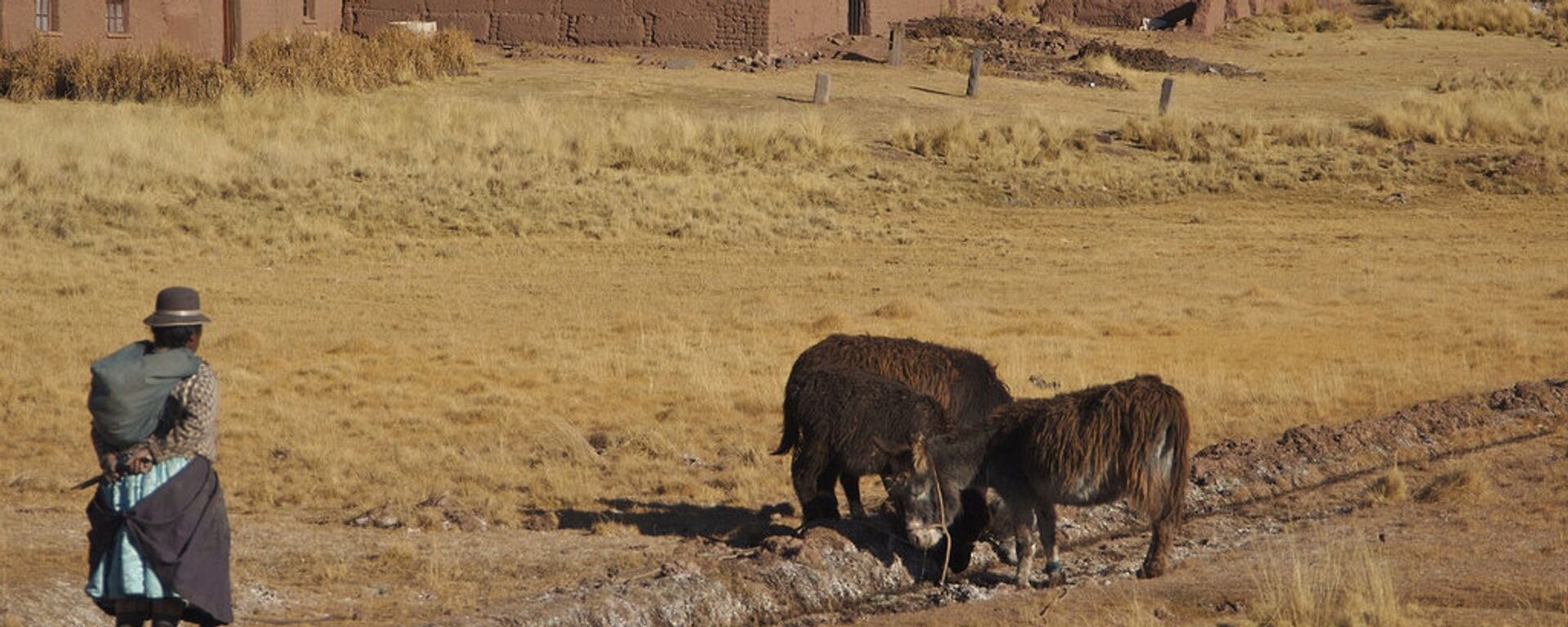 Una granja en Bolivia - Sputnik Mundo, 1920, 02.08.2018