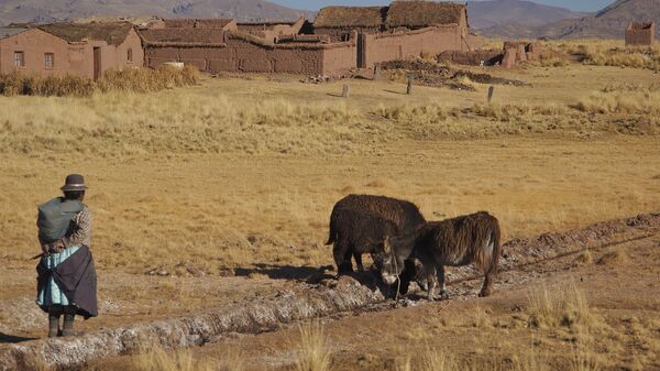 Una granja en Bolivia - Sputnik Mundo