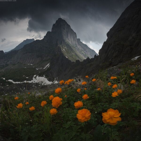 Espectaculares imágenes de la salvaje naturaleza rusa Espectaculares imágenes de la salvaje naturaleza rusa - Sputnik Mundo