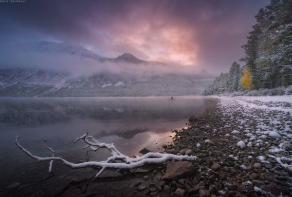 Espectaculares imágenes de la salvaje naturaleza rusa Espectaculares imágenes de la salvaje naturaleza rusa - Sputnik Mundo