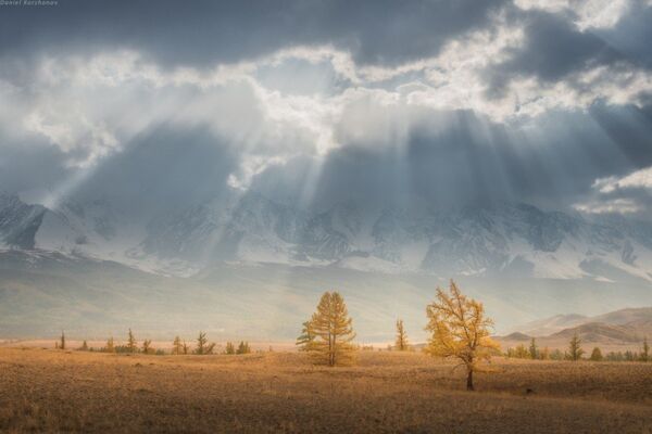 Espectaculares imágenes de la salvaje naturaleza rusa Espectaculares imágenes de la salvaje naturaleza rusa - Sputnik Mundo