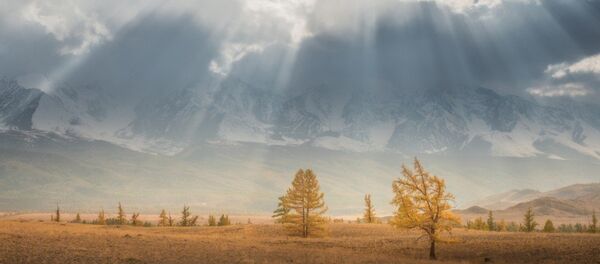 Espectaculares imágenes de la salvaje naturaleza rusa Espectaculares imágenes de la salvaje naturaleza rusa - Sputnik Mundo