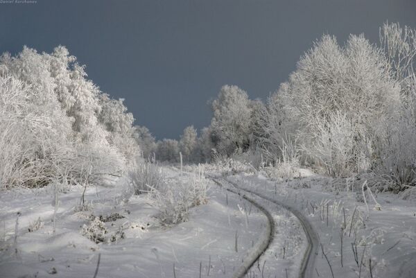 Espectaculares imágenes de la salvaje naturaleza rusa Espectaculares imágenes de la salvaje naturaleza rusa - Sputnik Mundo