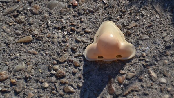 Nariz - Sputnik Mundo