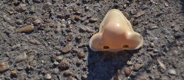 Nariz - Sputnik Mundo