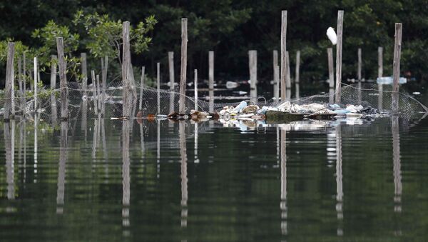Bahía de Guanabara - Sputnik Mundo