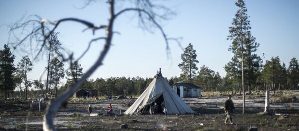 Habitación de los nómadas de Siberia (Archivo) - Sputnik Mundo
