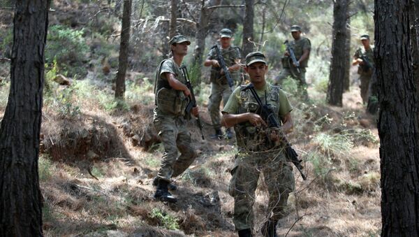 Los militares turcos buscan a los supuestos golpistas en los alrededores de la ciudad de Marmaris (archivo) - Sputnik Mundo