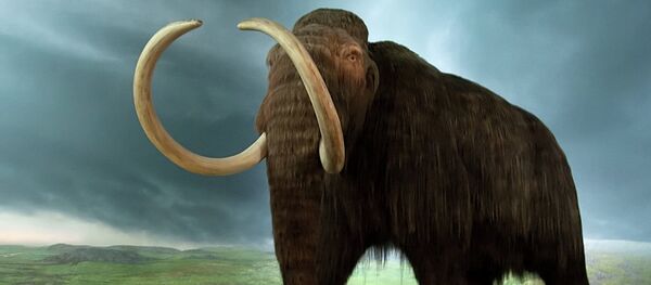 Un mamut - Sputnik Mundo