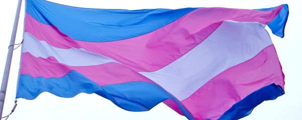 Bandera del Orgullo Transgénero - Sputnik Mundo