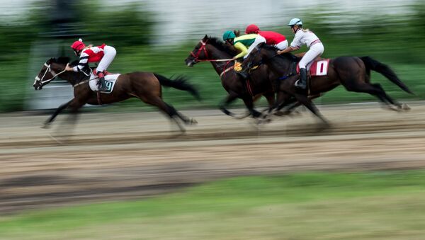 Las competiciones de hipismo - Sputnik Mundo