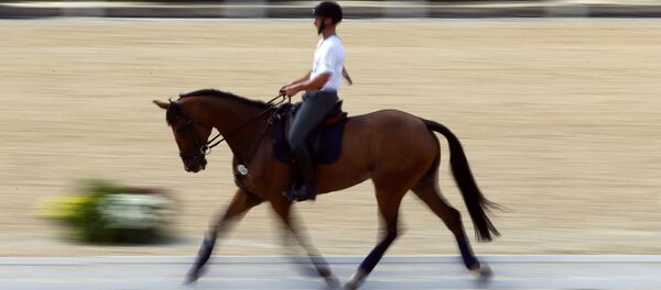 Equitación en Río - Sputnik Mundo