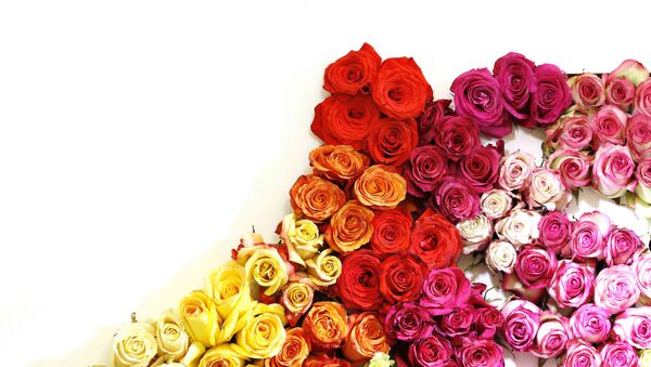 Las flores de Ecuador - Sputnik Mundo