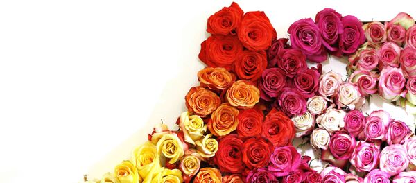 Las flores de Ecuador Las flores de Ecuador - Sputnik Mundo