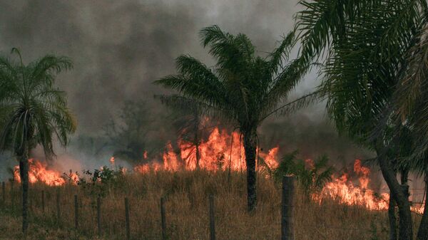 Incendios forestrales en Bolivia - Sputnik Mundo