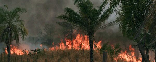 Incendios forestrales en Bolivia - Sputnik Mundo