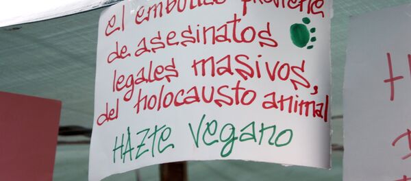 Veganismo - Sputnik Mundo
