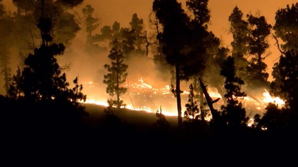 Incendio forestal - Sputnik Mundo