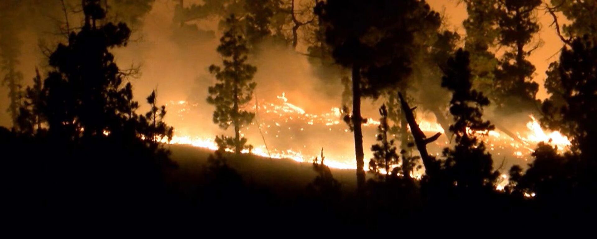 Incendio forestal (imagen referencial) - Sputnik Mundo, 1920, 22.02.2022