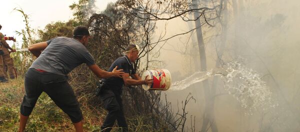 Los incendios en Portugal - Sputnik Mundo