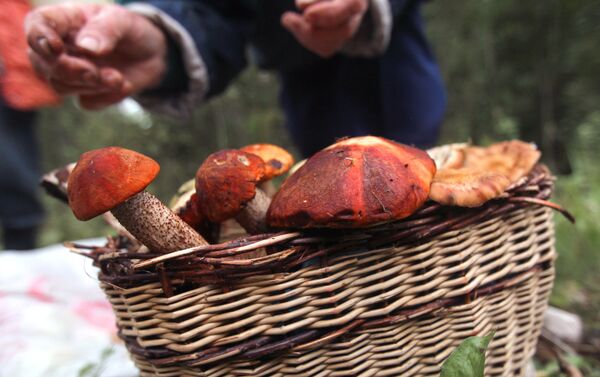 Hongos rusos - Sputnik Mundo